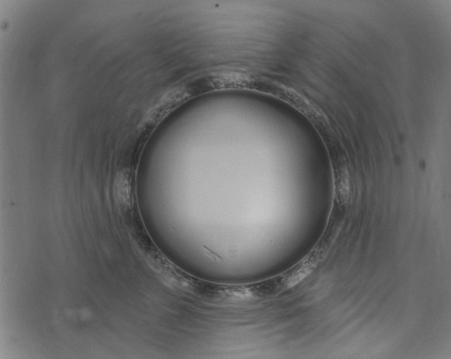 X0000073520715200608211804