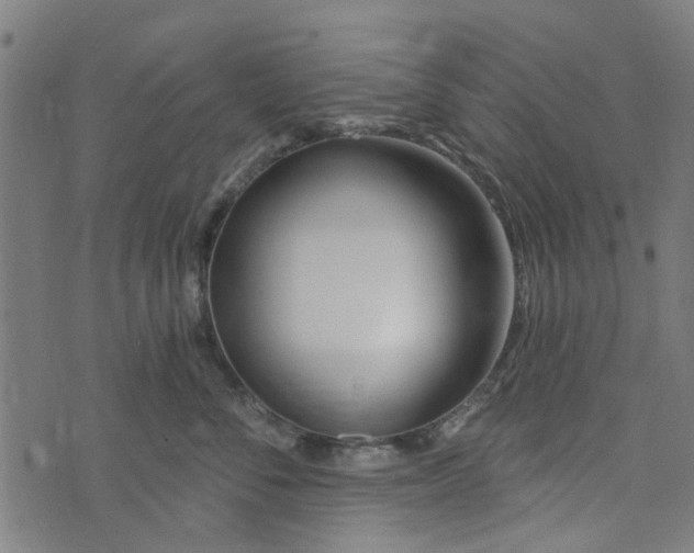 X0000073520716200608211804