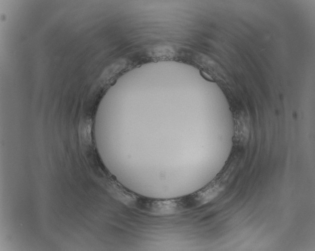 X0000073520717200608211804