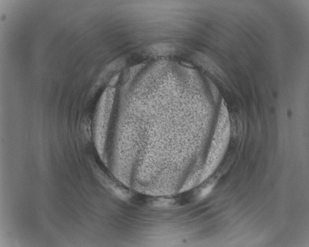 X0000073520718200608211804