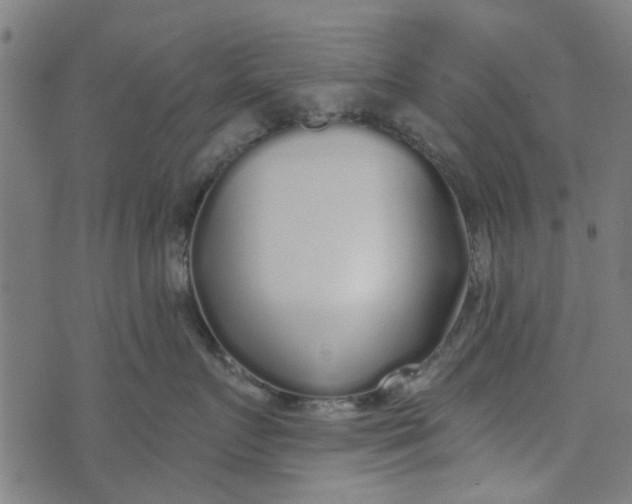 X0000073520719200608211804