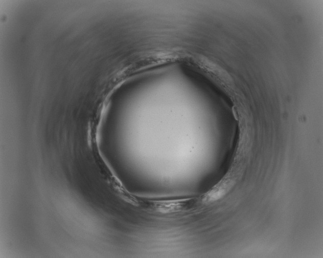 X0000073520720200608211804