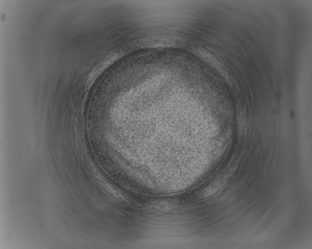 X0000073520721200608211804