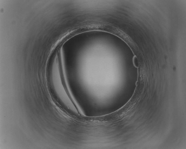 X0000073520722200608211804