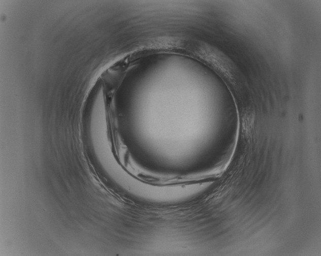 X0000073520724200608211804