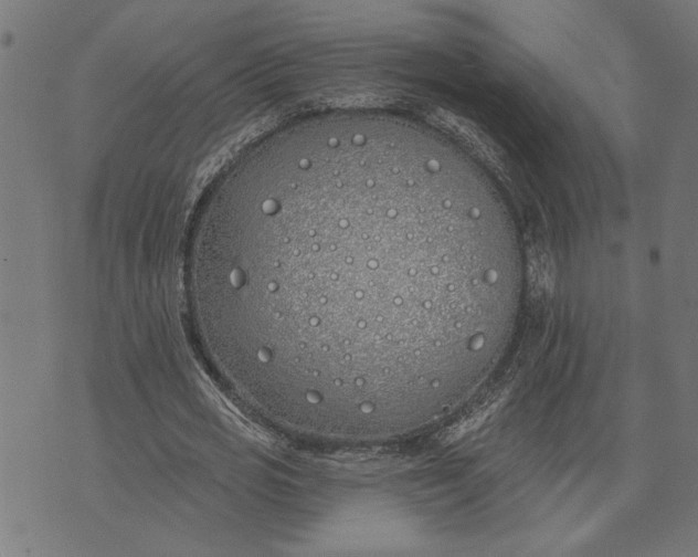 X0000073520725200608211804