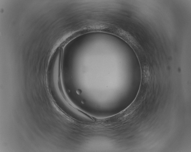 X0000073520726200608211804