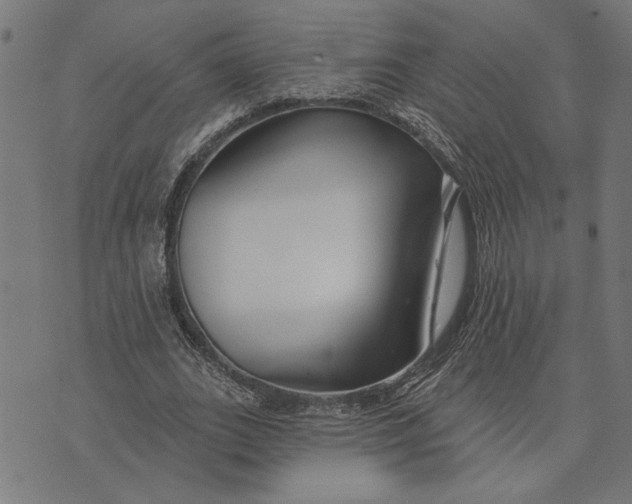 X0000073520727200608211804