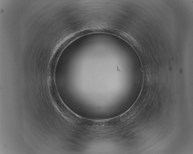 X0000073520728200608211804