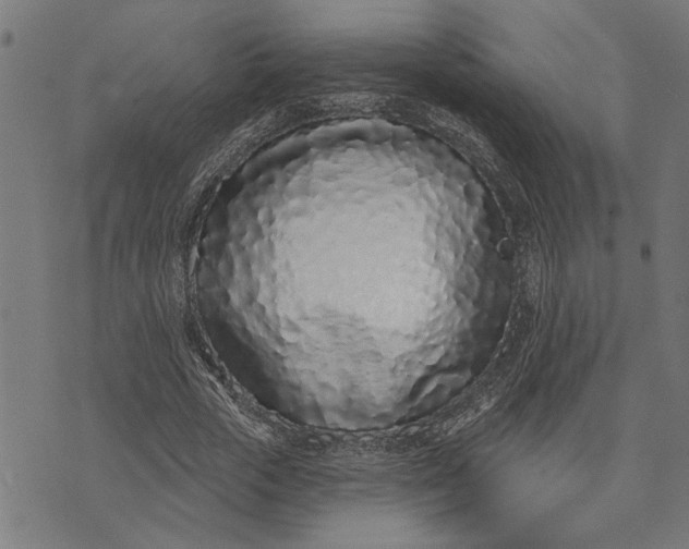 X0000073520729200608211804