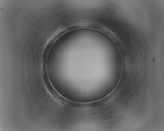 X0000073520730200608211804