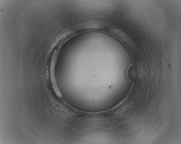 X0000073520731200608211804