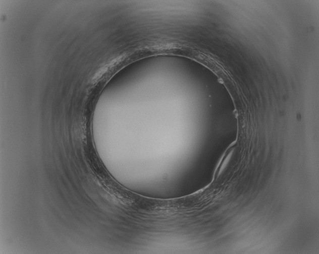 X0000073520732200608211804