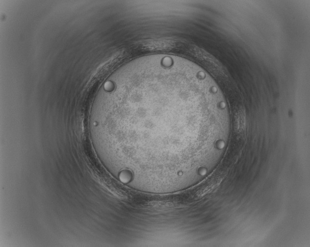 X0000073520733200608211804