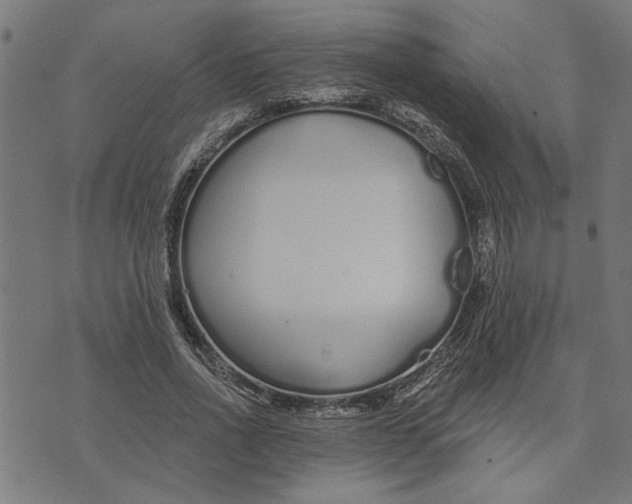 X0000073520734200608211804