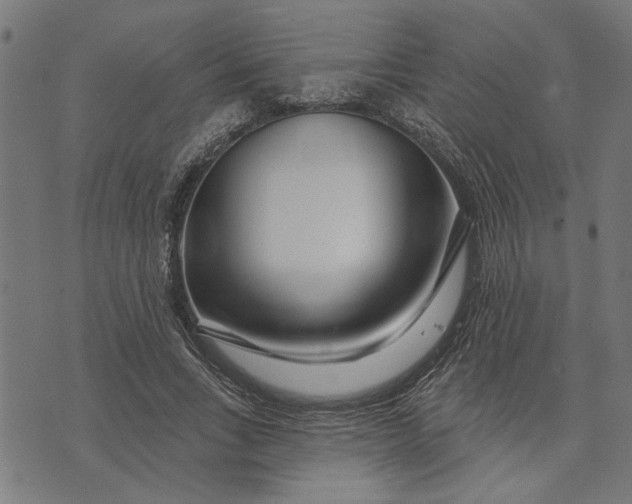 X0000073520735200608211804