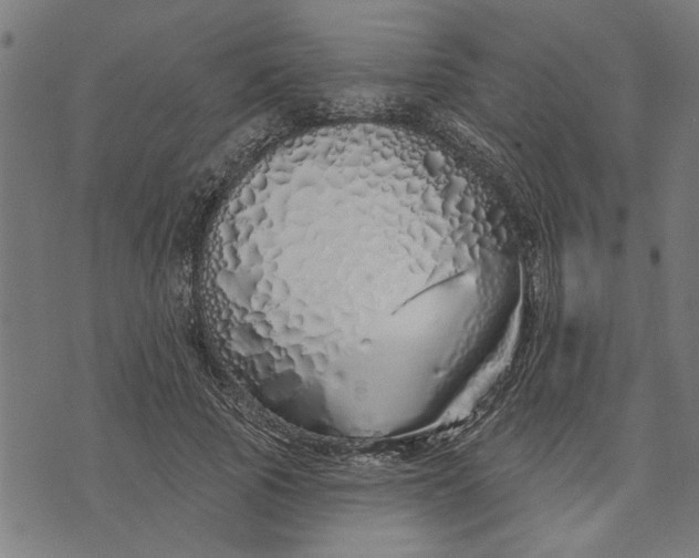 X0000073520737200608211804