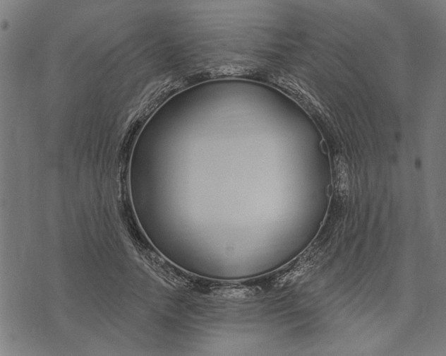 X0000073520738200608211804