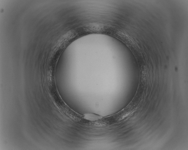 X0000073520739200608211804