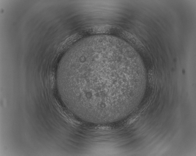 X0000073520741200608211804