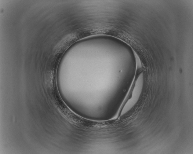 X0000073520742200608211804