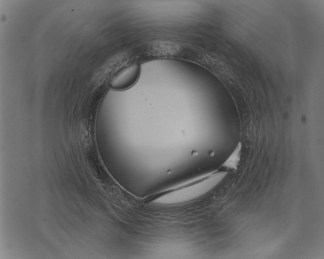 X0000073520743200608211804