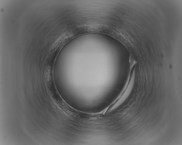 X0000073520744200608211804