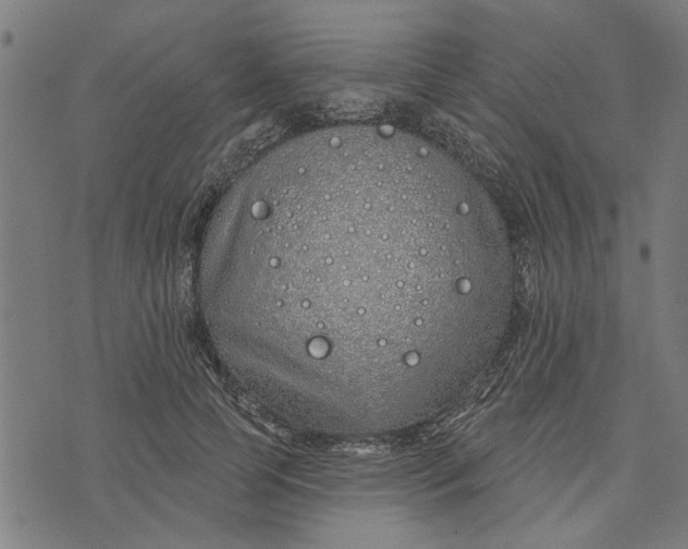 X0000073520745200608211804