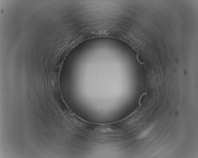 X0000073520747200608211804