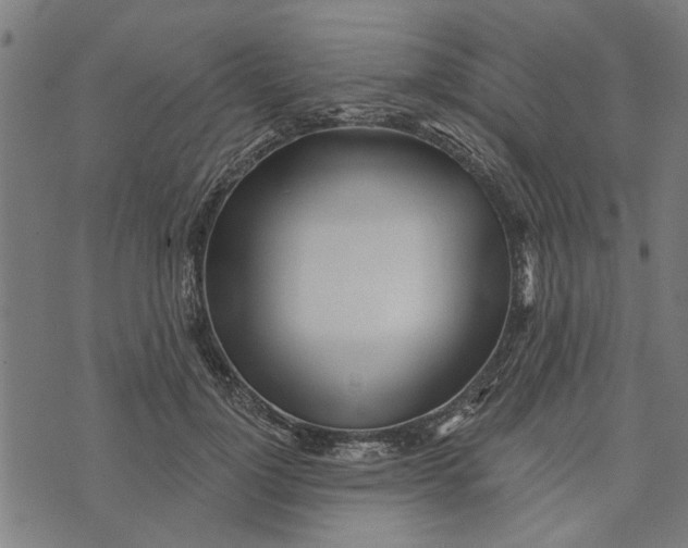 X0000073520748200608211804