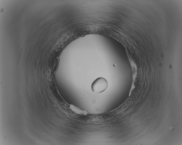 X0000073520750200608211804