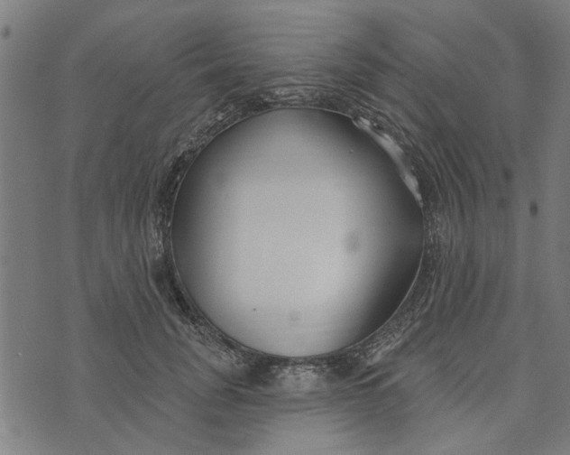 X0000073520751200608211804