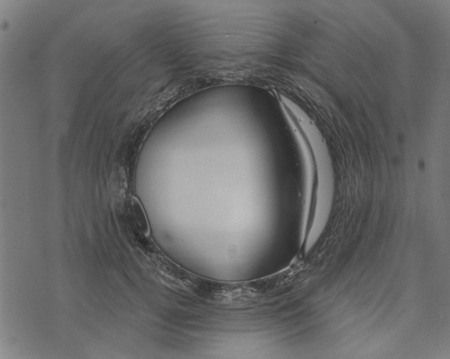 X0000073520752200608211804