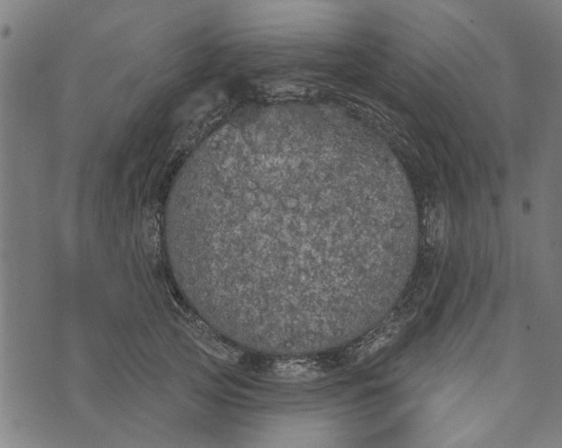 X0000073520753200608211804