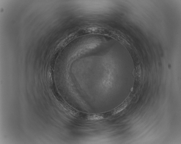 X0000073520754200608211804