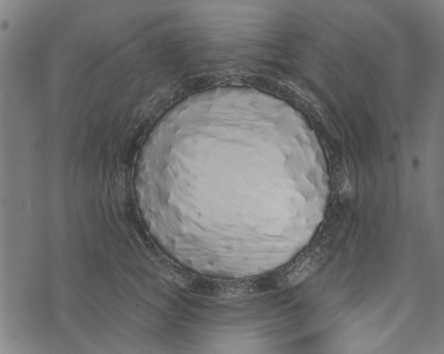 X0000073520757200608211804