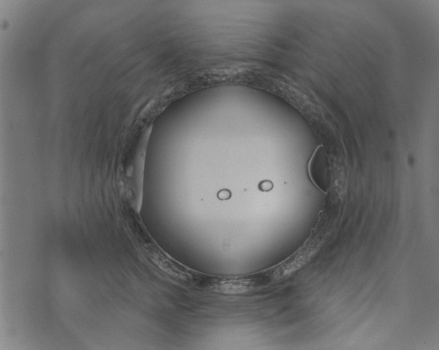 X0000073520758200608211804