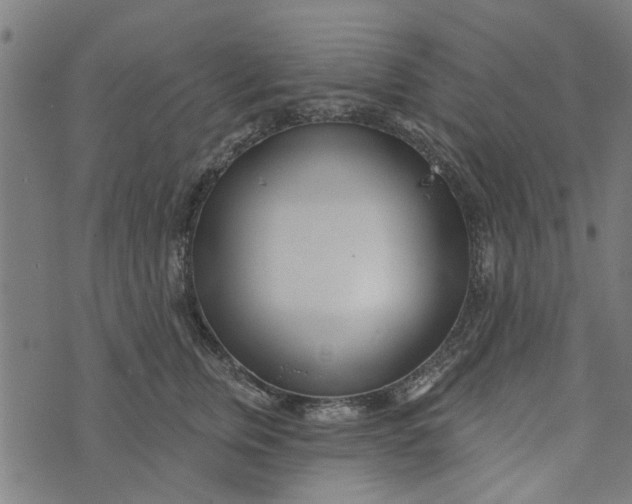 X0000073520759200608211804