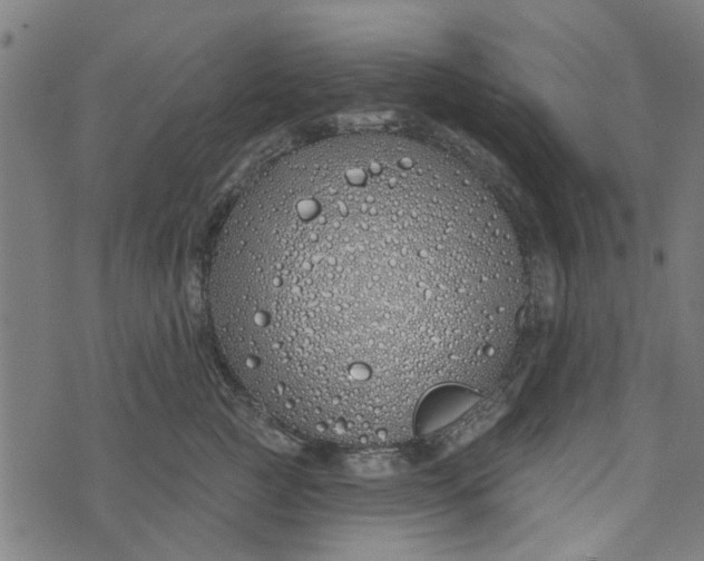 X0000073520761200608211804