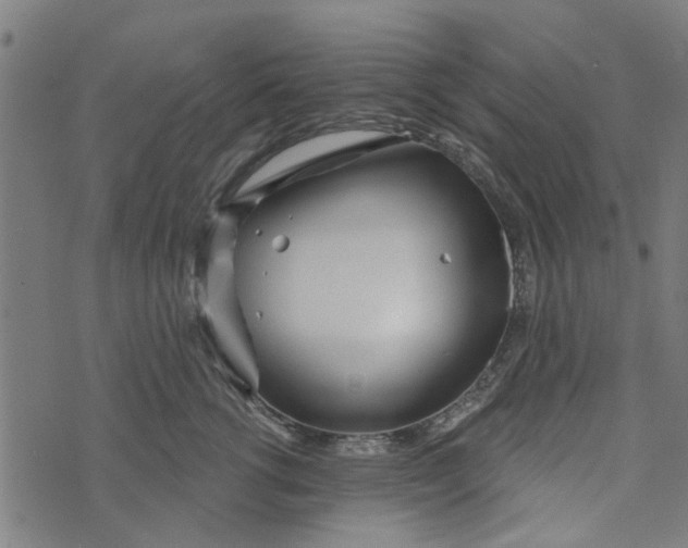 X0000073520762200608211804