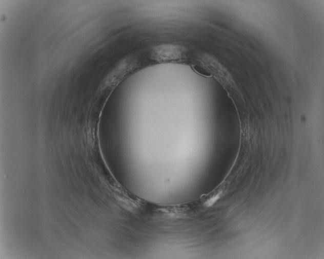 X0000073520763200608211804