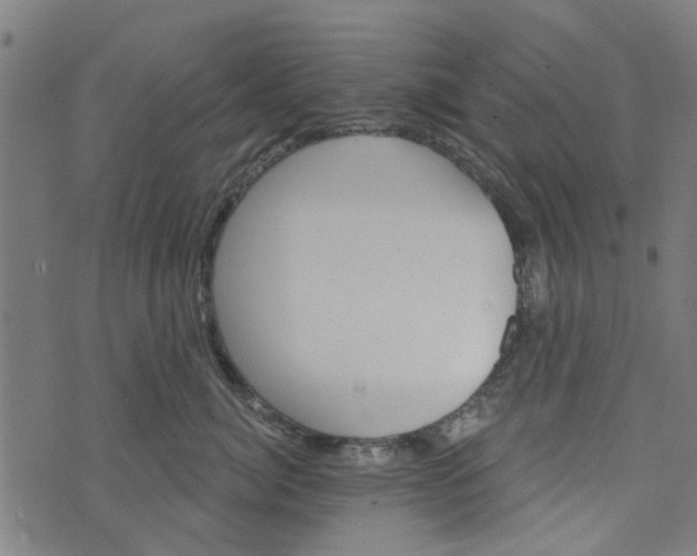 X0000073520764200608211804