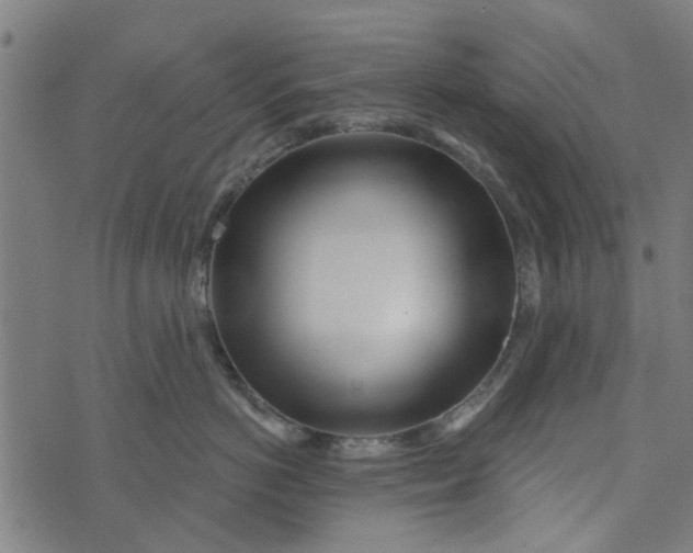 X0000073520766200608211804