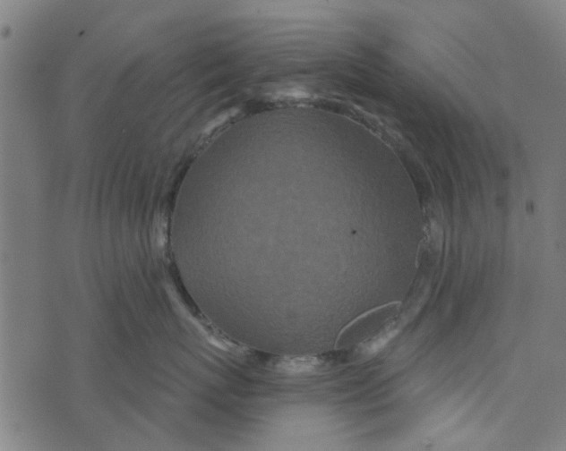 X0000073520767200608211804