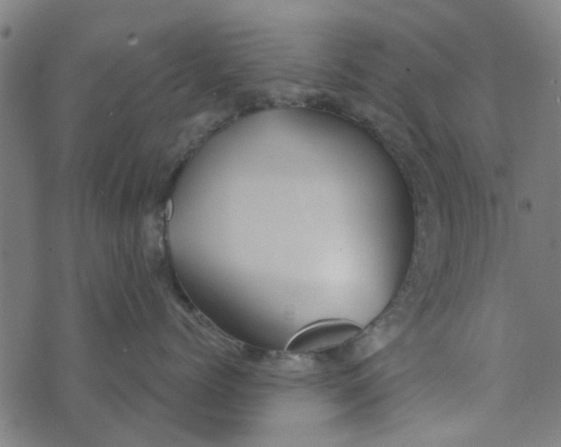 X0000073520768200608211804