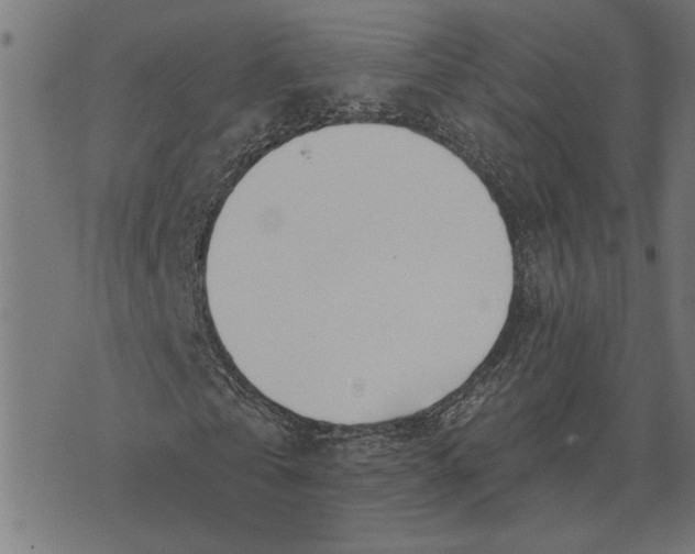 X0000073520769200608211804