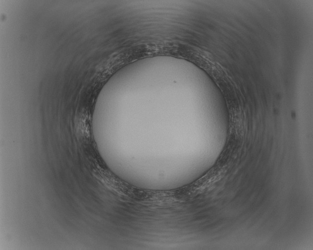 X0000073520770200608211804