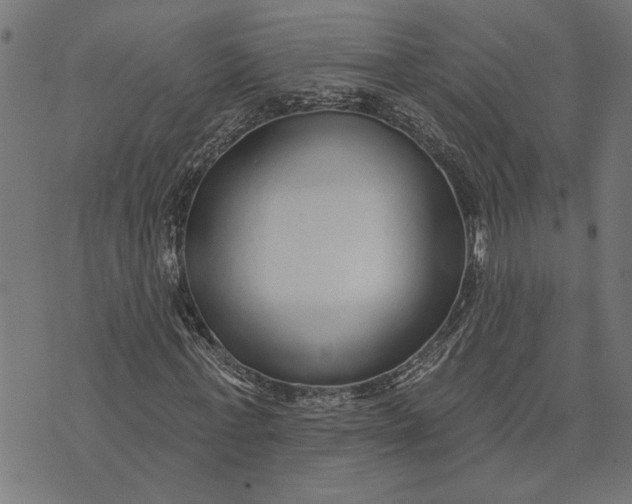 X0000073520771200608211804