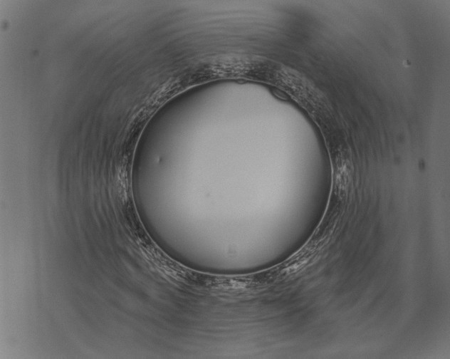 X0000073520772200608211804