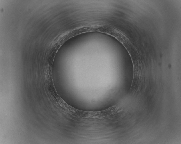 X0000073520773200608211804